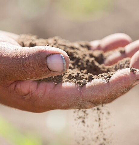 Nærbillede af en landmands hånd med jord