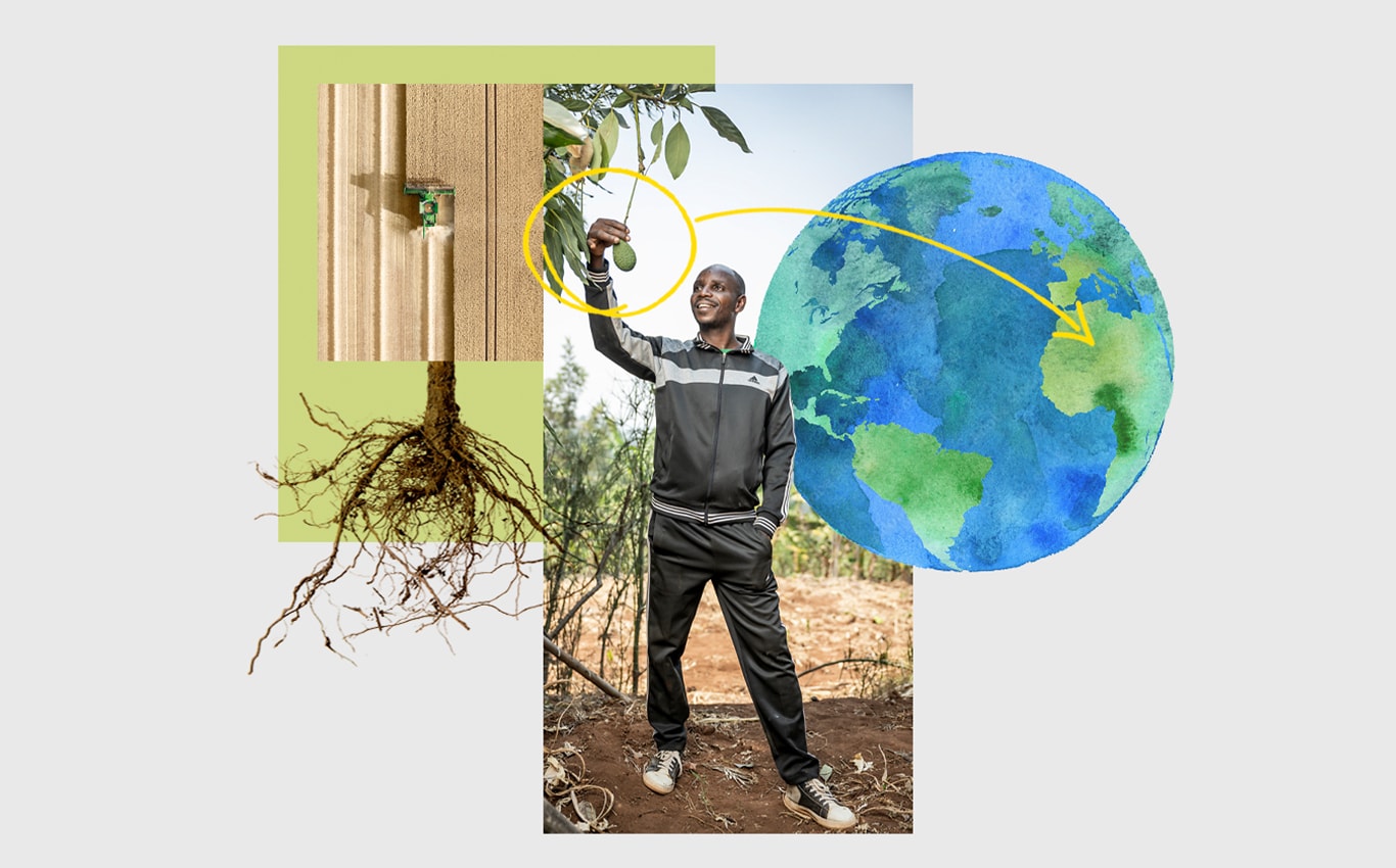 Et luftfoto af en John Deere-finsnitter på en mark, en person, der griber en avocado, som hænger på et træ, og en pil, der peger mod Afrika på en illustration af jorden.