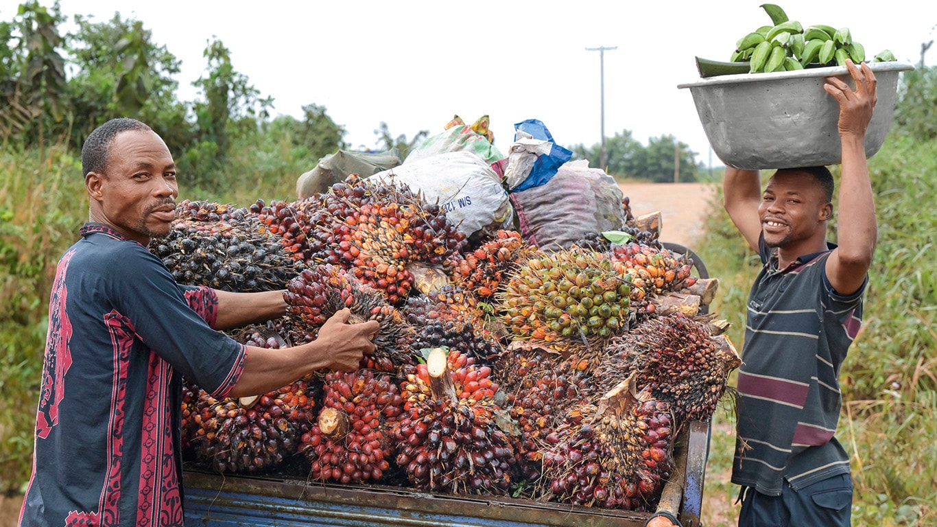 LANDMÆND   TRODSER GLOBALE  PRISUDSVING
