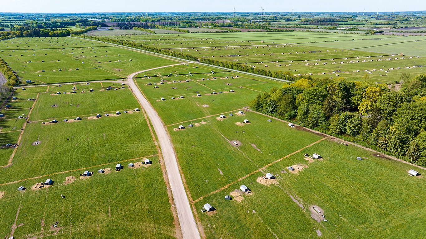 GRISESTALD PÅ 90 HEKTAR